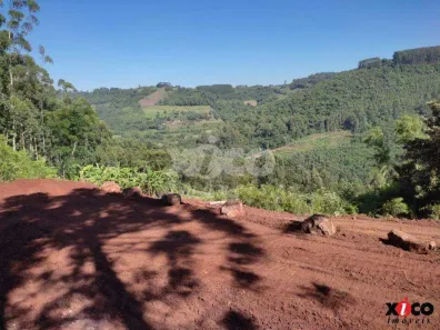 Fazenda/Sítio com 1 Quarto à venda, 5000m² no Pinhal Alto, Nova Petrópolis