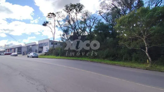 Lote/Terreno à venda, 655m² no Nova Petrópolis, Nova Petrópolis