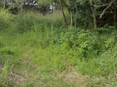 Lote/Terreno à venda, 381m² no Pantanal, Florianópolis