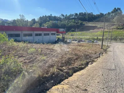 Lote/Terreno à venda, 1289m² no Vicentina, Farroupilha