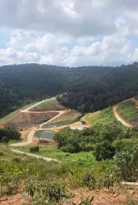 Lote/Terreno à venda, 4100m² no Santa Teresa, Santa Teresa