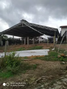 Fazenda/Sítio com 5 Quartos à venda, 1400000m² no Centro, Florestal