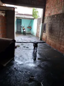 Casa com 4 Quartos à venda, 63m² no Jardim Maria Casagrande Lopes (Dona Amália), Ribeirão Preto