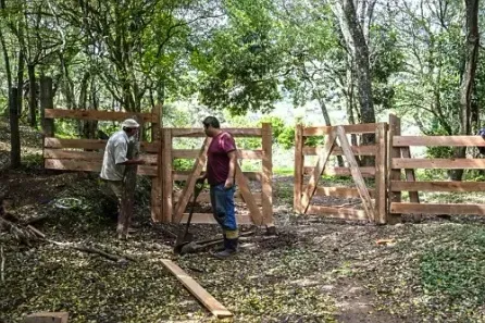 Fazenda/Sítio à venda, 1000m² no , Ibiúna