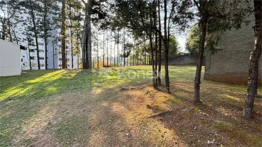 Lote/Terreno à venda, 1198m² no Vila Albertina, São Paulo