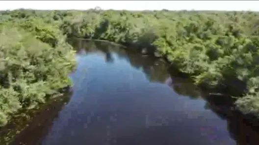 Fazenda/Sítio à venda no , Poconé