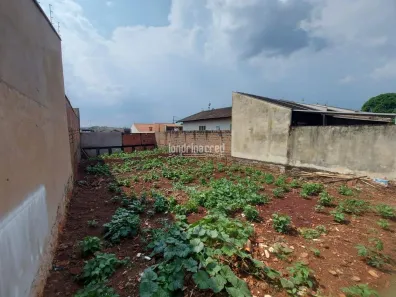 Lote/Terreno à venda, 250m² no Jardim Montecatini, Londrina
