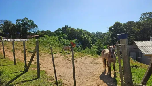Fazenda/Sítio com 1 Quarto à venda, 4361m² no , Contenda