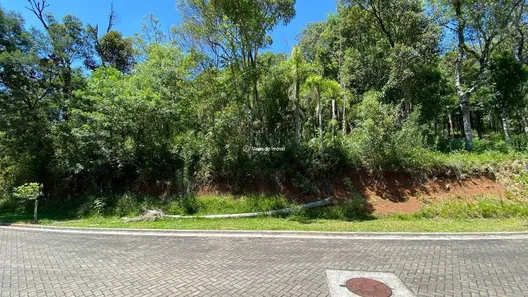 Lote/Terreno à venda, 524m² no Pórtico, Gramado