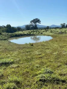 Fazenda/Sítio com 1 Quarto à venda, 83m² no , Crixás
