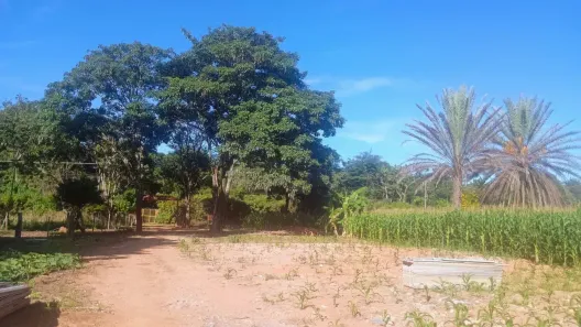 Fazenda/Sítio com 3 Quartos à venda, 22000m² no Setor Residencial Mestre D'Armas, Brasília
