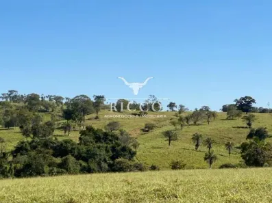 Fazenda/Sítio com 4 Quartos à venda, 308m² no Vila Dona Quininha, São Luís de Montes Belos