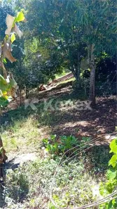 Lote/Terreno à venda, 1370m² no Luiz Fagundes, Mairiporã