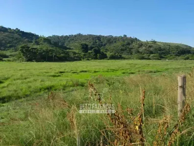Fazenda/Sítio à venda, 19300000m² no , Novo São Joaquim