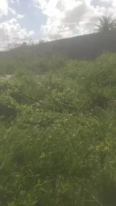 Lote/Terreno à venda, 420m² no Barra de Jangada, Jaboatão dos Guararapes