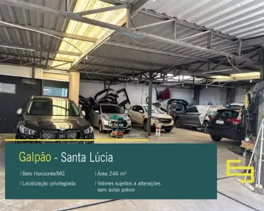Galpão/Depósito/Armazém à venda, 246m² no Santa Lúcia, Belo Horizonte