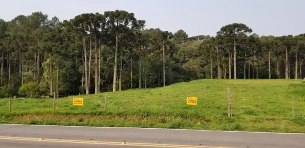 Lote/Terreno à venda, 8681m² no Samuara, Caxias do Sul