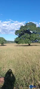 Lote/Terreno à venda, 2m² no Setor Central, São Francisco de Goiás