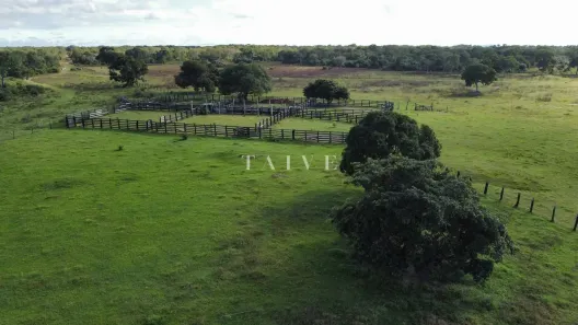 Fazenda/Sítio com 1 Quarto à venda, 10m² no , Barão de Melgaço