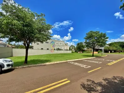 Lote/Terreno à venda, 542m² no Loteamento Santa Luisa, Ribeirão Preto