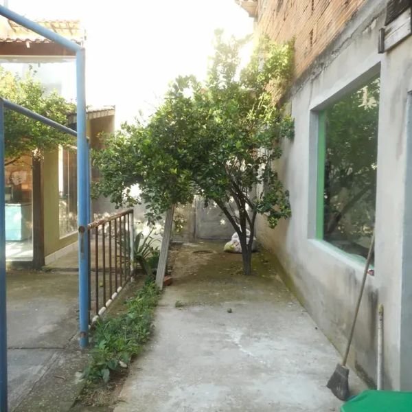 Foto 7