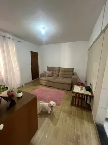 Apartamento com 3 Quartos à venda, 60m² no Madre Gertrudes, Belo Horizonte