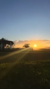 Lote/Terreno à venda, 1250m² no Lameirão, Guarapari