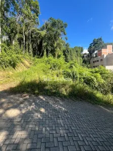 Lote/Terreno à venda, 490m² no Dom Joaquim, Brusque