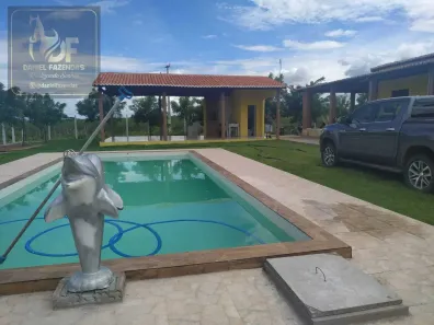 Fazenda/Sítio com 3 Quartos à venda, 350000m² no , Afonso Bezerra