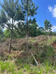 Lote/Terreno à venda, 394m² no Monte Bérico, Caxias do Sul