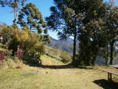 com 1 Quarto à venda, 295m² no , Cunha