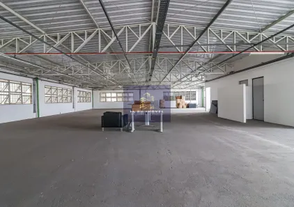 Prédio Comercial para alugar, 1500m² no Vila Parque Jabaquara, São Paulo
