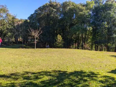 Lote/Terreno à venda, 73300m² no Linha Araripe, Gramado