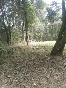 Lote/Terreno à venda, 790m² no Santa Inês, Caieiras