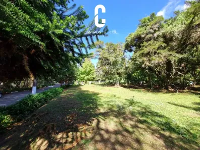 Lote/Terreno à venda, 1230m² no Alto do Capivari, Campos do Jordão