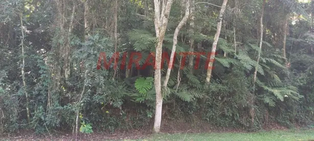 Lote/Terreno à venda, 2m² no Caraguatá, Mairiporã