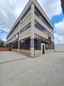 Prédio Comercial com 10 Quartos para alugar, 682m² no Vila Mascote, São Paulo