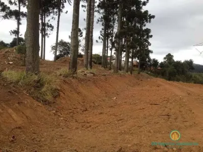 Lote/Terreno à venda, 2742m² no Jardim Sandra, Cotia