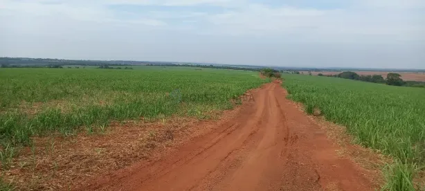 com 3 Quartos à venda, 280m² no Área Rural de Uberaba, Uberaba