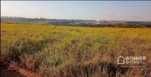 Lote/Terreno à venda, 305m² no Jardim Paraíso, Maringá