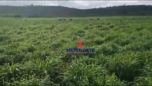 Fazenda/Sítio com 1 Quarto à venda, 10000m² no , Bom Jesus das Selvas
