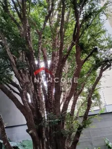 Casa de Condomínio com 3 Quartos à venda, 275m² no Vila Mariana, São Paulo
