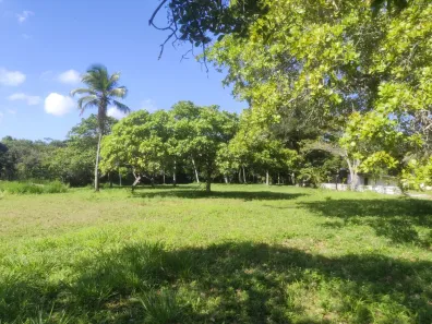 Lote/Terreno à venda, 520m² no Guabiraba, Recife
