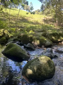 Fazenda/Sítio à venda, 10000m² no Morro do Freitas, Paulo Lopes