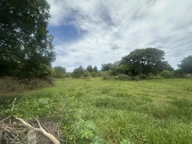 Fazenda/Sítio à venda, 5000m² no , Regente Feijó