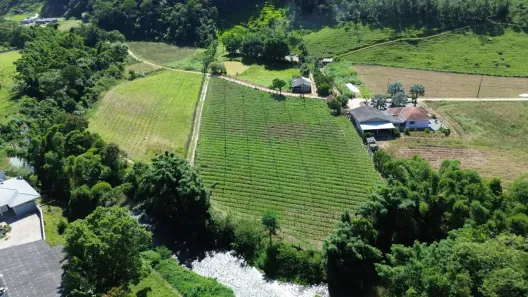 Fazenda/Sítio com 3 Quartos à venda, 27000m² no , Santo Amaro da Imperatriz