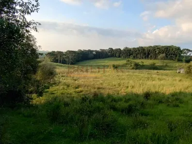 Fazenda/Sítio à venda, 99781m² no Vila Oliva, Caxias do Sul
