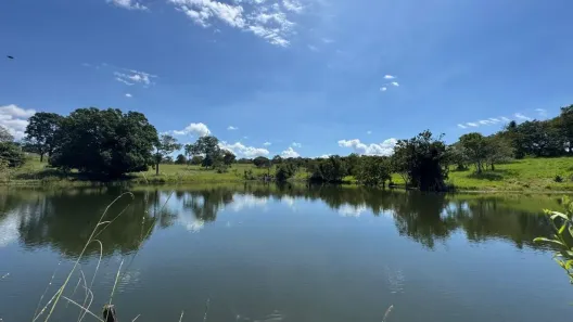 Fazenda/Sítio com 3 Quartos à venda, 1621400m² no , Goiás