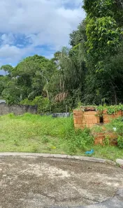 Lote/Terreno à venda, 300m² no Colônia Terra Nova, Manaus