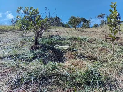 Lote/Terreno à venda, 510m² no , Monteiro Lobato
